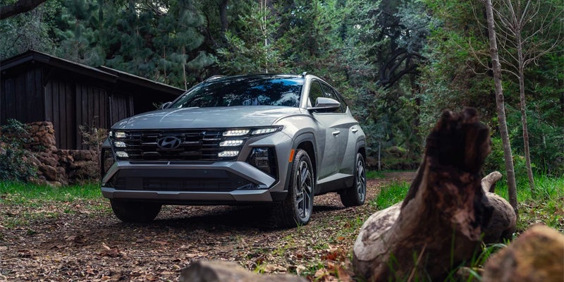 Hyundai Tucson Plug-In Hybrid parked on a dirt path in a forest, next to a cabin.
